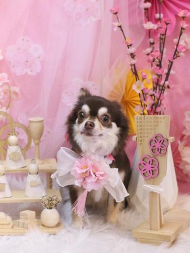 20250301ルアちゃん